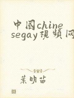 中国chinesegay视频网porn
