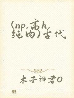 (np,高h,纯肉)古代