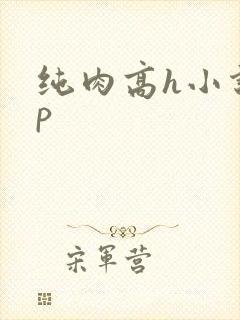 纯肉高h小说np封面
