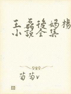 王磊后妈杨晓芬小说全集