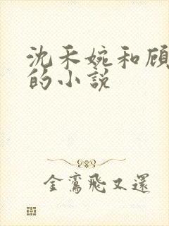 沈禾婉和顾青彦的小说