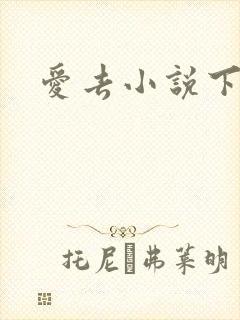 爱去小说下载网