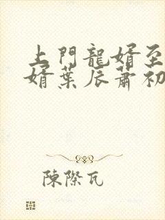 上门龙婿至尊龙婿叶辰萧初然听书封面