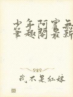 少年阿宾无弹窗笔趣阁最新章节列表