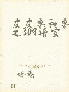 皮皮鲁和鲁西西之309暗室