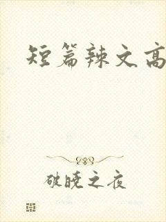 短篇辣文高h
