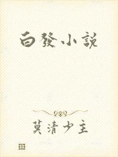 白发小说