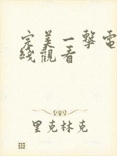 完美一击电影在线观看封面