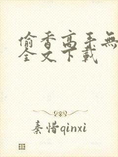 偷香高手无删减全文下载