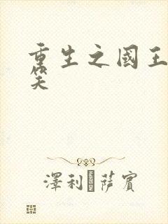 重生之国王的微笑