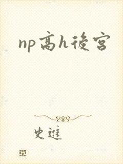 np高h后宫