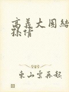 高义大团结美红孙倩封面