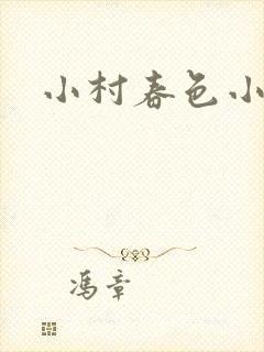小村春色小说封面