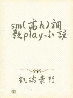 sm(高h)调教play小说封面