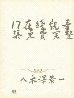 17在线观看全集免费完整版