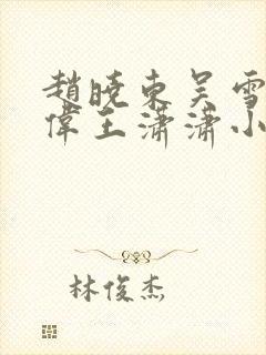 赵晓东吴雪晴郑伟王潇潇小说封面