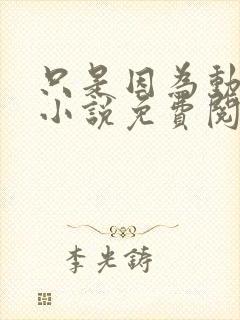 只是因为动了心小说免费阅读