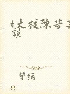 t大校陈若芸小说