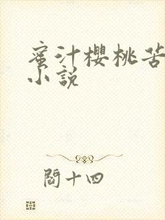 蜜汁樱桃苦咖啡小说