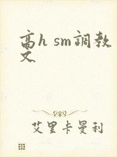 高h sm调教文