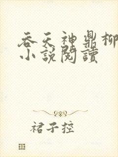 吞天神鼎柳无邪小说阅读