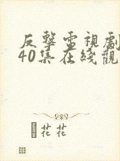 反击电视剧全集40集在线观看免费