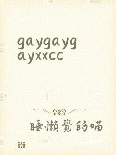 gaygaygayxxcc