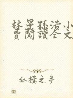 林曼孙浩小说免费阅读全文最新章节