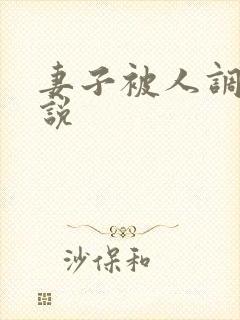 妻子被人调教小说