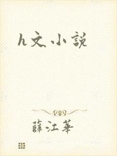 h文小说