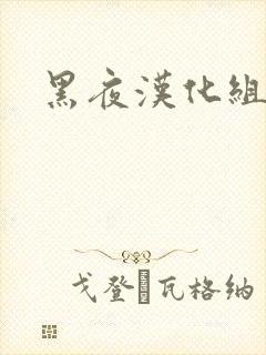 黑夜汉化组