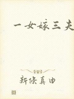 一女嫁三夫封面