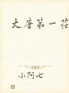 大唐第一庄封面