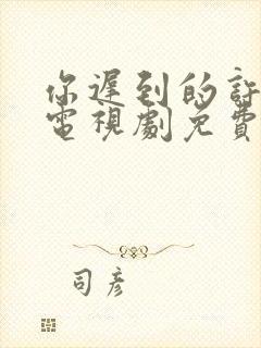 你迟到的许多年电视剧免费完整版封面