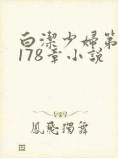白洁少妇第1一178章小说
