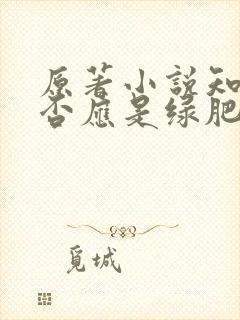 原著小说知否知否应是绿肥红瘦