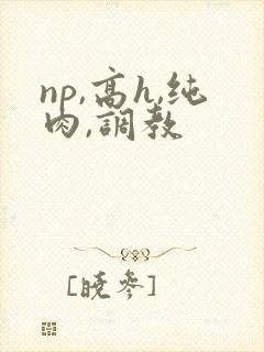 np,高h,纯肉,调教