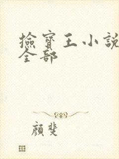 捡宝王小说阅读全部封面