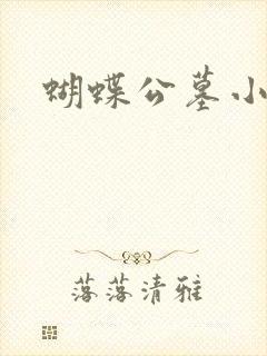 蝴蝶公墓小说封面