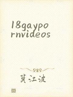 18gaypornvideos