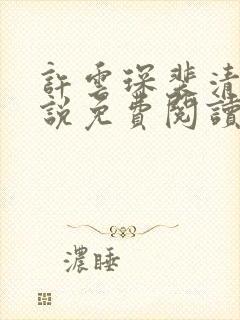 许云琛裴清欢小说免费阅读无弹窗