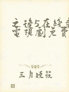 之后5在线观看电视剧免费高清封面