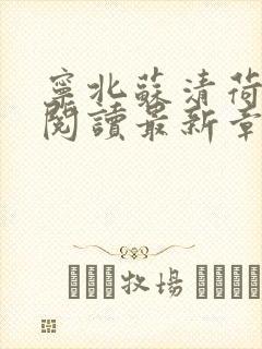 宁北苏清荷免费阅读最新章节笔趣阁