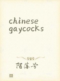 chinesegaycocks