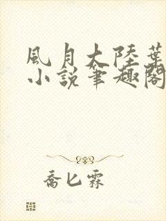 风月大陆叶天龙小说笔趣阁