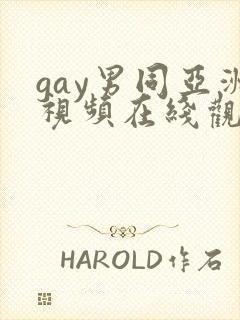 gay男同亚洲视频在线观看