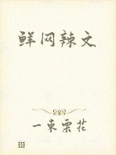 鲜网辣文封面