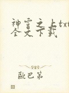 神霄之上txt全文下载
