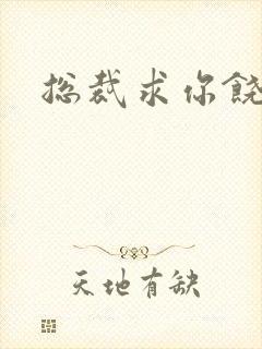 总裁求你饶了我封面