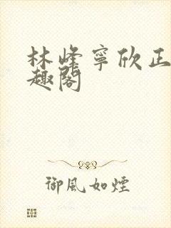 林峰宁欣正版笔趣阁